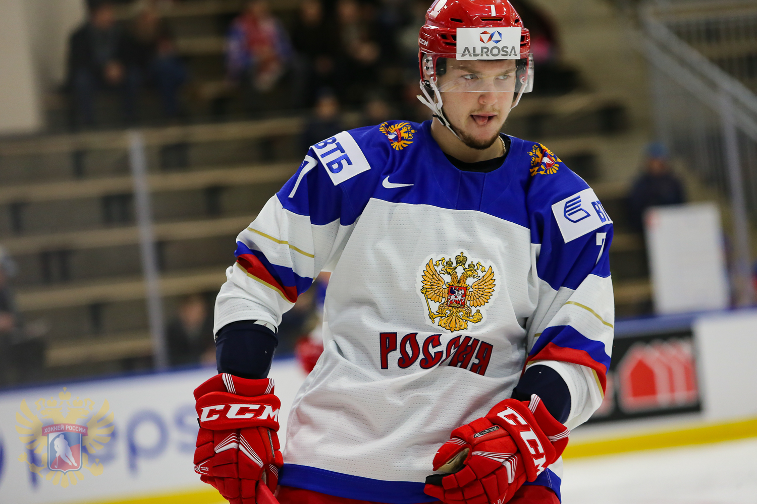 Дмитрий Соколов хоккеист